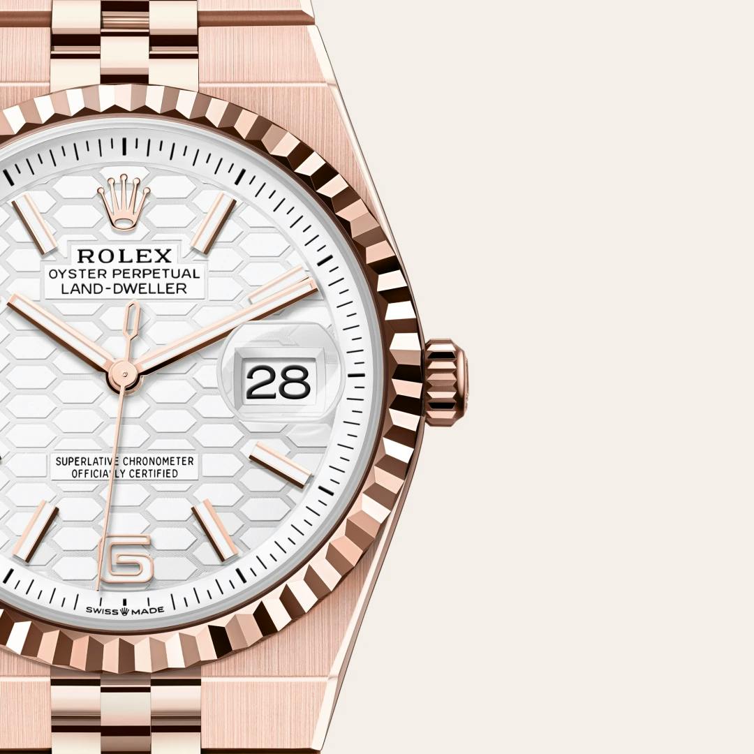 Rolex Land-Dweller 36 18 Karat Everose-Gold, M127235-0001
