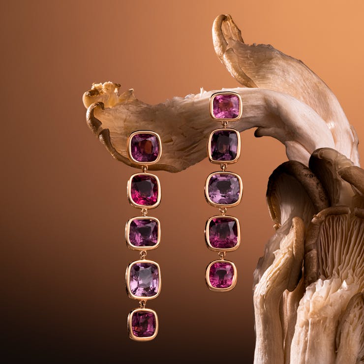 Orbis