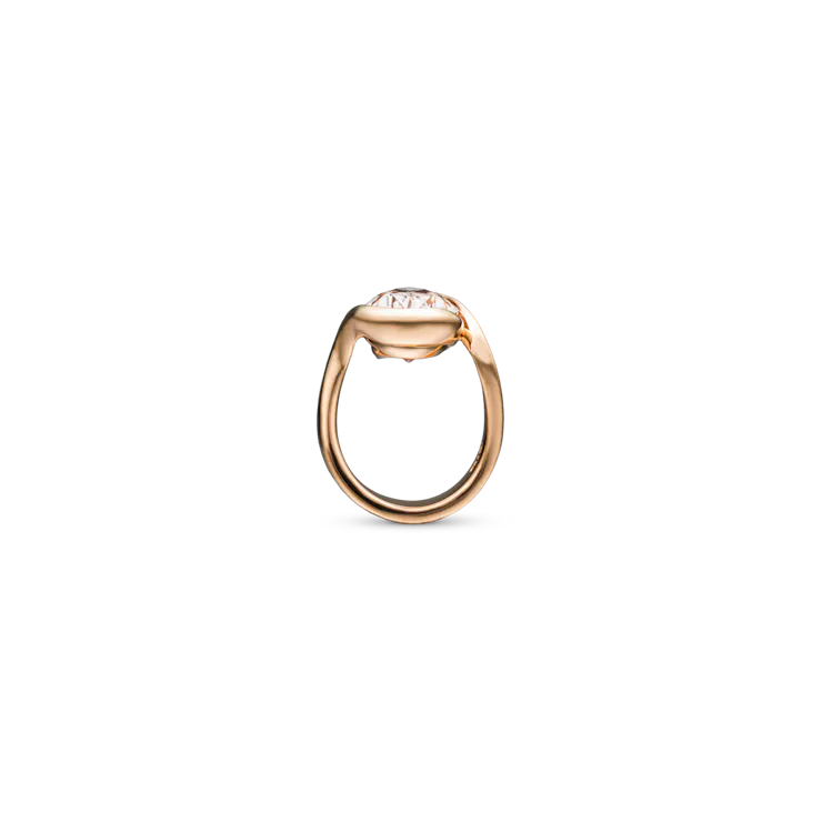 Schleife champagne