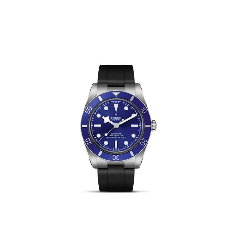 Black Bay 54