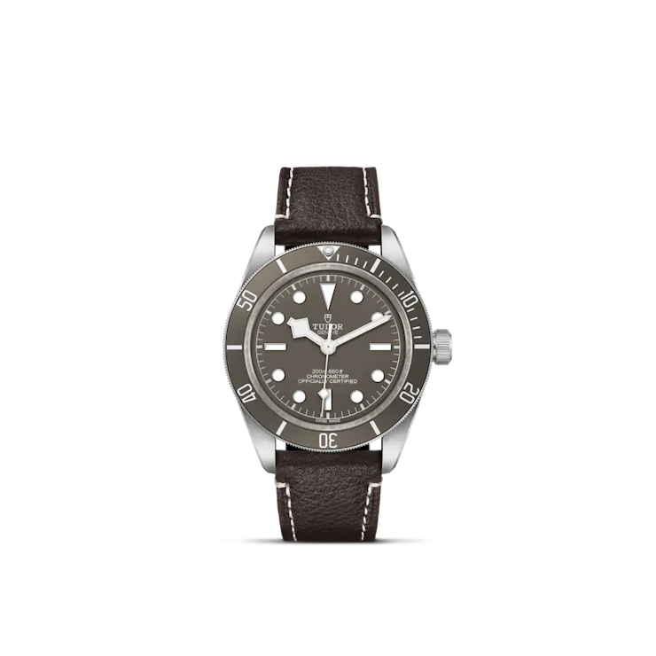 Black Bay 58 925 (M79010SG-0001)