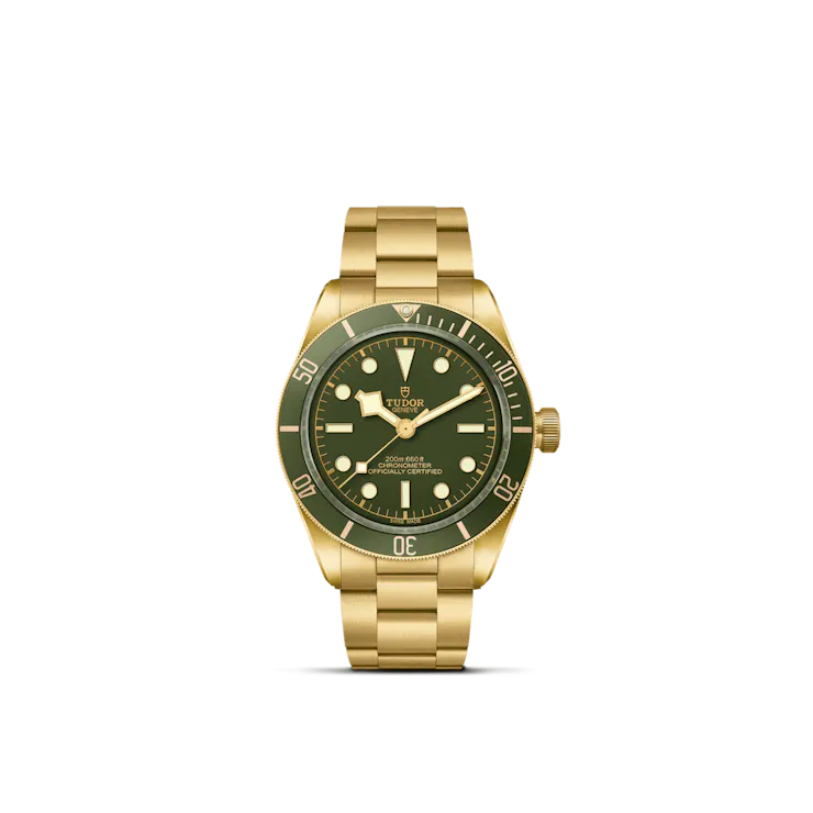 Black Bay 58 18K (M79018V-0006)