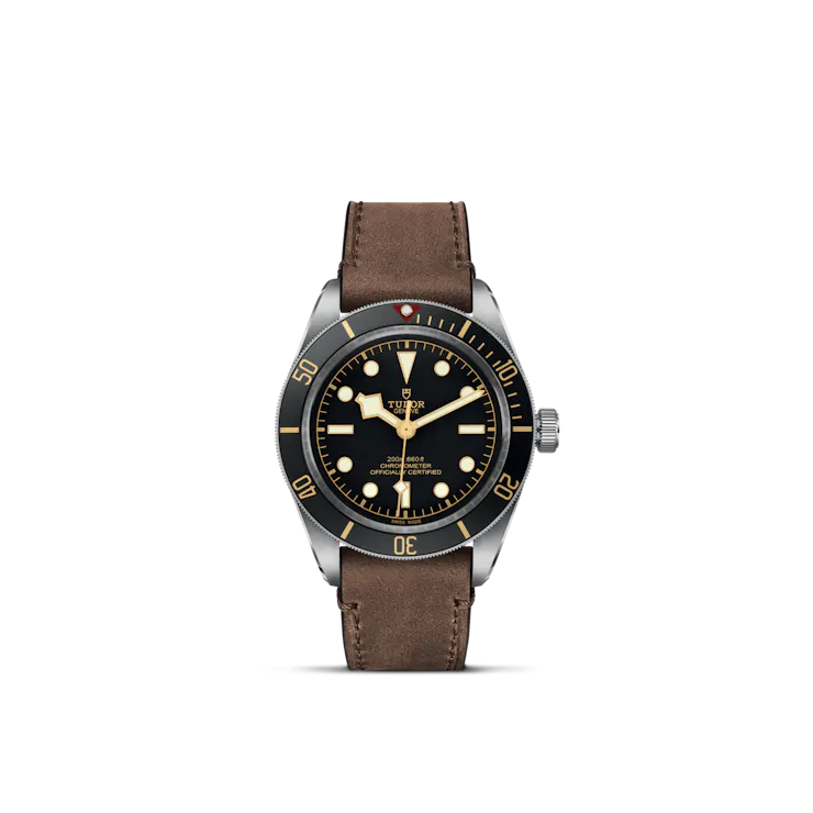 Black Bay 58 (M79030N-0002)