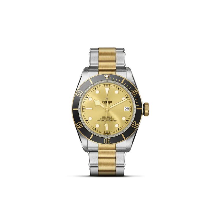 Black Bay S&G (M79733N-0004)