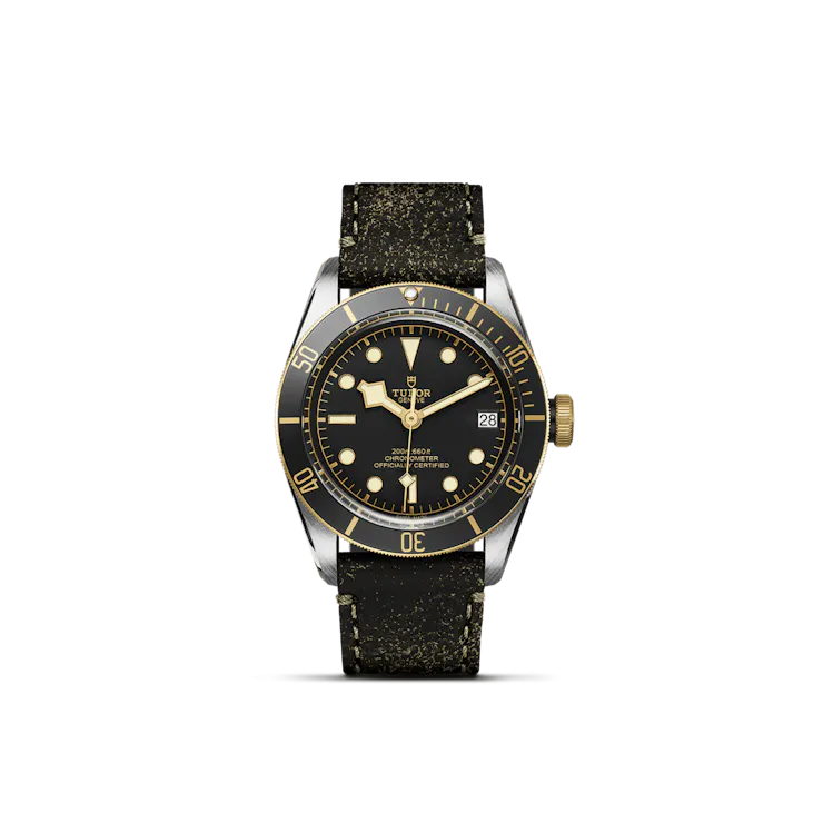 Black Bay S&G (M79733N-0007)